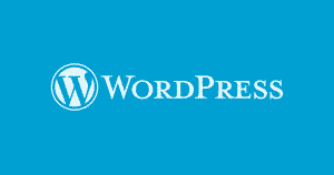 WordPress’te Link Yapısı Nasıl Olmalı?