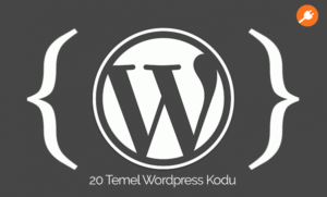 20 Temel WordPress Kodu