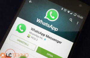 Whatsapp Durum Güncellemesini Geri Getirecek Mi?